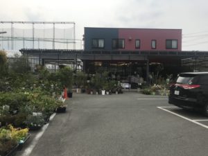 大阪府八尾市のオススメ園芸店・花屋さん 花と緑のグリーンライフ