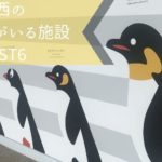 ペンギンがいる関西の水族館・動物園 おすすめランキング