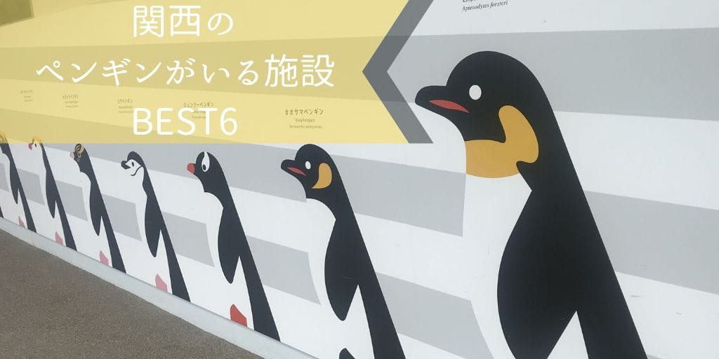 ペンギンがいる関西の水族館・動物園 おすすめランキング